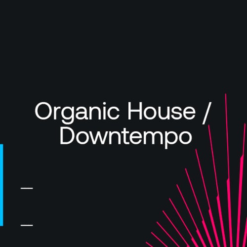 Beatport Dancefloor Essentials 2024 Organic House